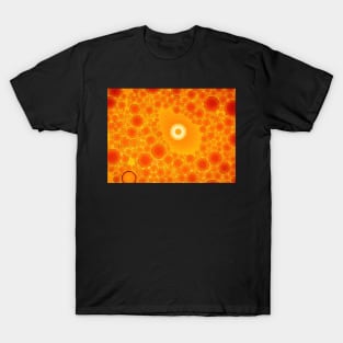 Oil and Vinegar Bubbles3 T-Shirt